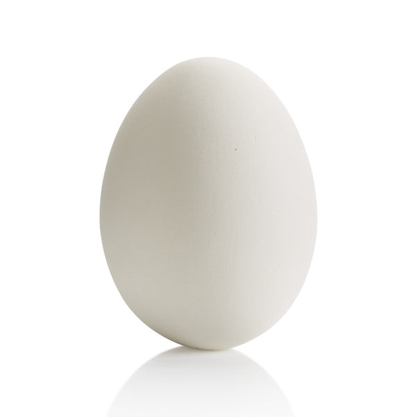 XL Egg (round bottom)